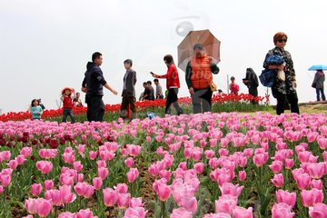 informat_1548228566833