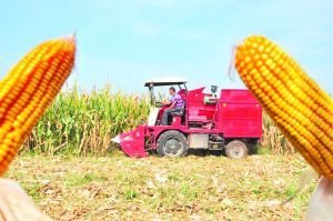 informat_1548228777722