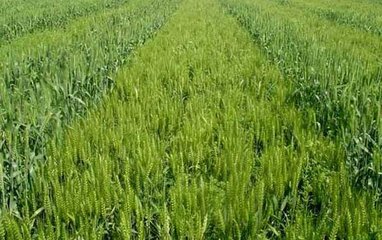 informat_1548229100160