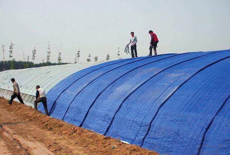 informat_1548229131270