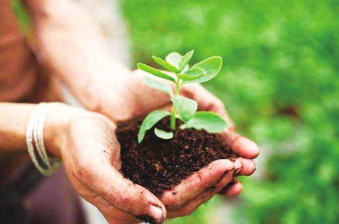 informat_1548229160275