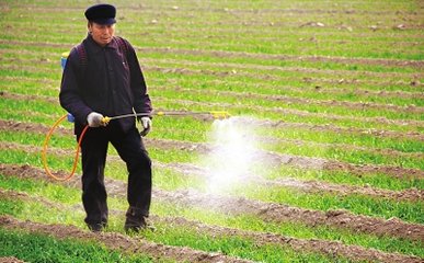 informat_1548229240924