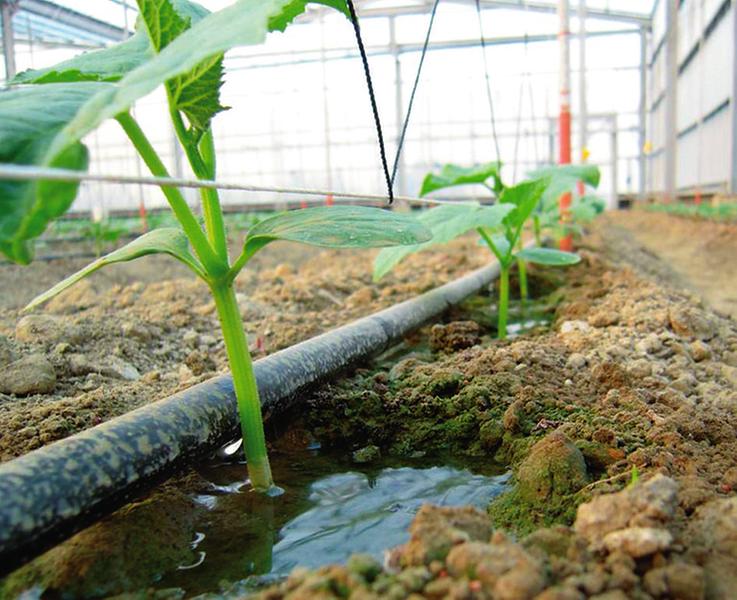 informat_1548229279611