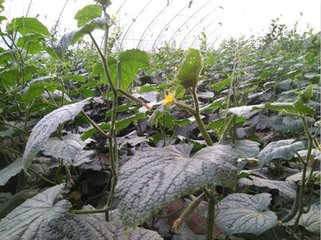 informat_1548229570375