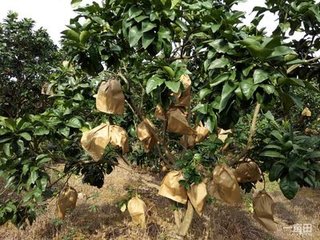 informat_1548229639177