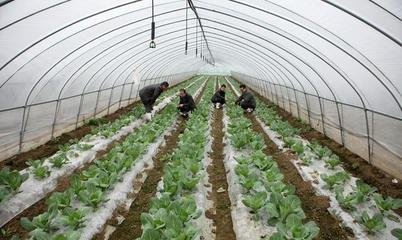 informat_1548229744566