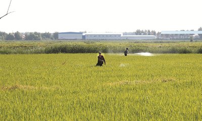 informat_1548229899722