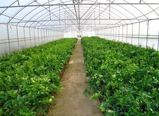 informat_1548230152360