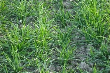 informat_1548230253081