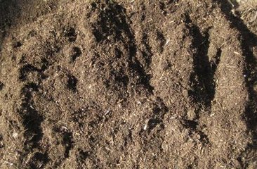 informat_1548230329400