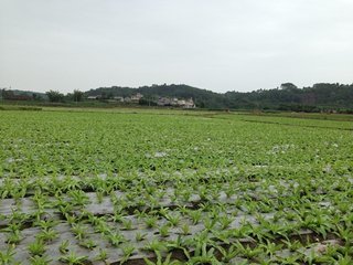 informat_1548230474875