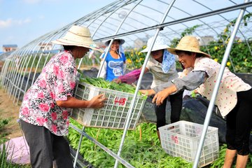 informat_1548312126763