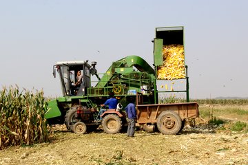 informat_1548312690291