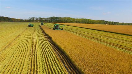 informat_1548312829177