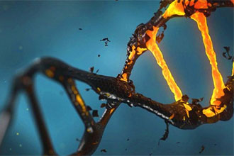 informat_1548897423879