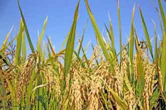 informat_1548918312862