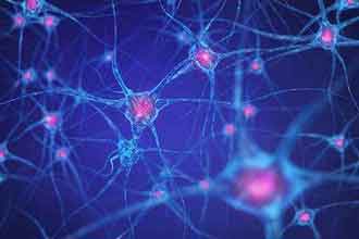 informat_1548918405529