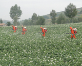 informat_1550629503400