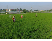 informat_1550630006544