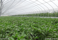 informat_1550632618105