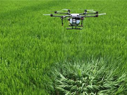 informat_1550633194232 informat_1550633194232