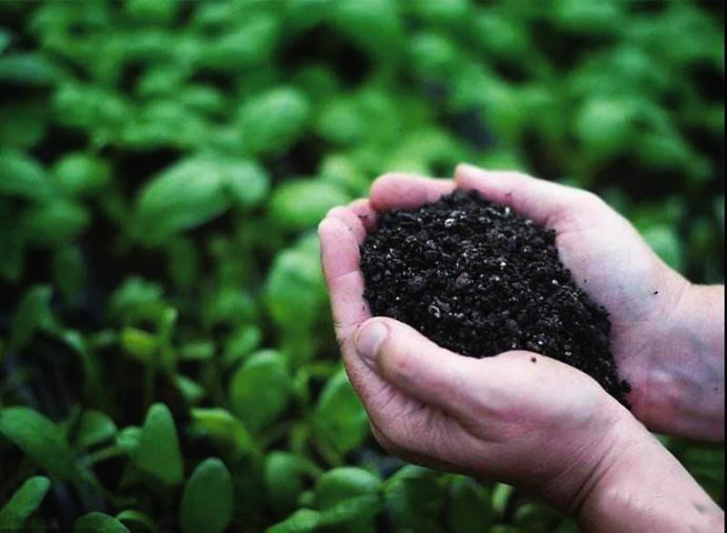 informat_1550645900959 informat_1550645900959