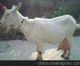 informat_1550720117036