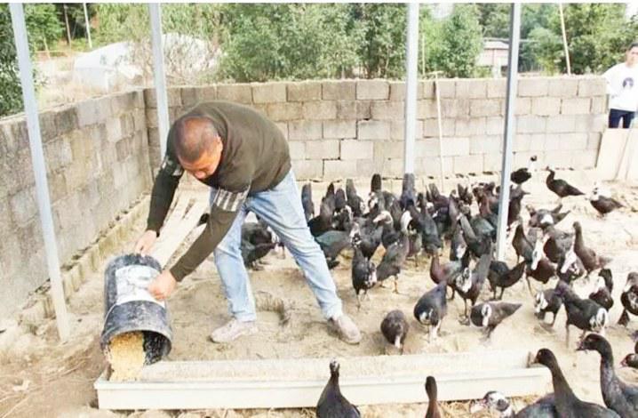 informat_1550720181857