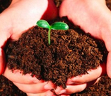 informat_1550733689216