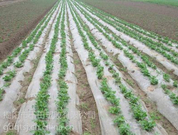 informat_1550733846977