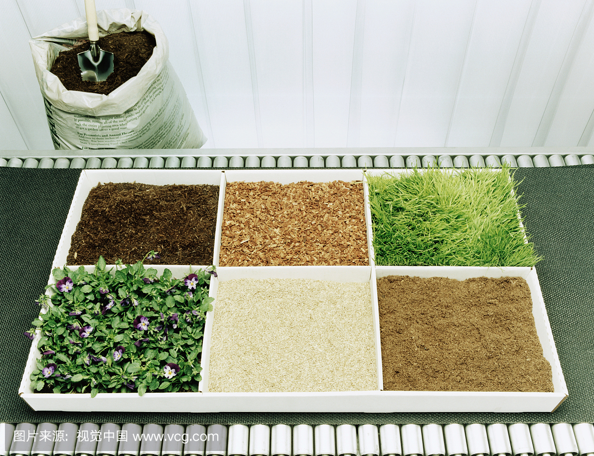 informat_1550735631624