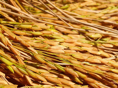 informat_1550735699817