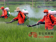 informat_1550735870429