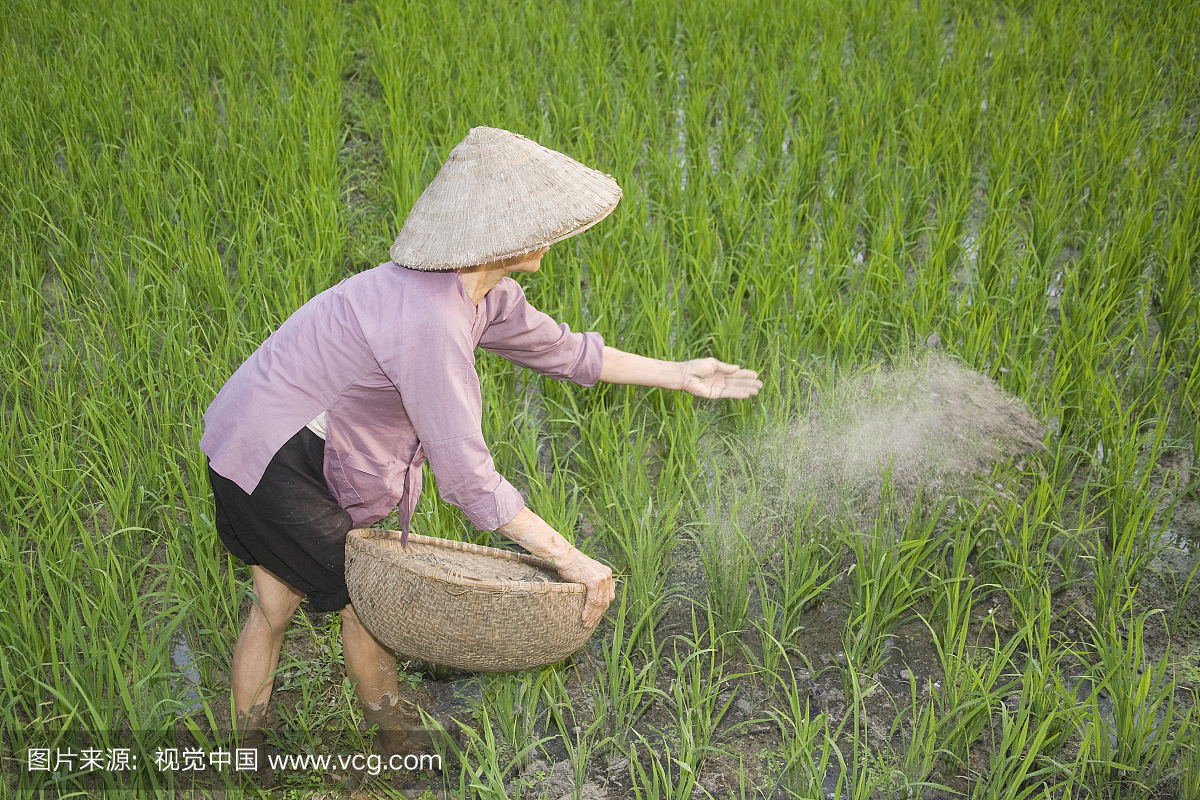 informat_1550735942306 informat_1550735942306