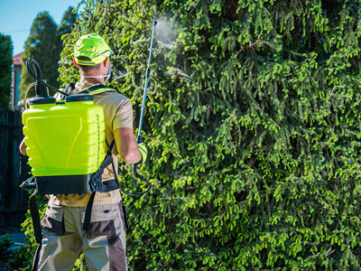 informat_1550736018069