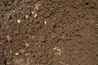 informat_1550736185803