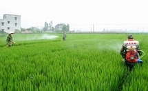 informat_1550797359836 informat_1550797359836