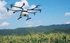 informat_1550797483899