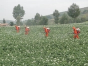 informat_1550797539118