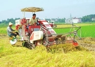 informat_1550797756809 informat_1550797756809