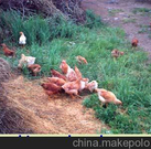 informat_1550797858184