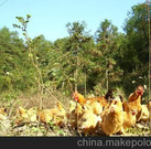 informat_1550797919510