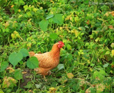 informat_1550798039481 informat_1550798039481