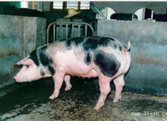 informat_1550798094394