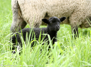 informat_1550798133001 informat_1550798133001