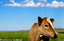 informat_1550798233132 informat_1550798233132