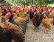 informat_1550798367944