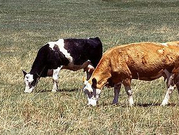 informat_1550798440927