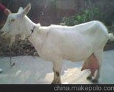 informat_1550798522466