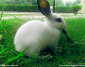 informat_1550798617085